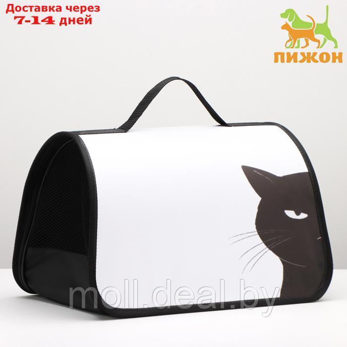 Сумка - переноска для животных каркасная, 40 х 25 х 25 см, белая с котом - фото 1 - id-p226888073