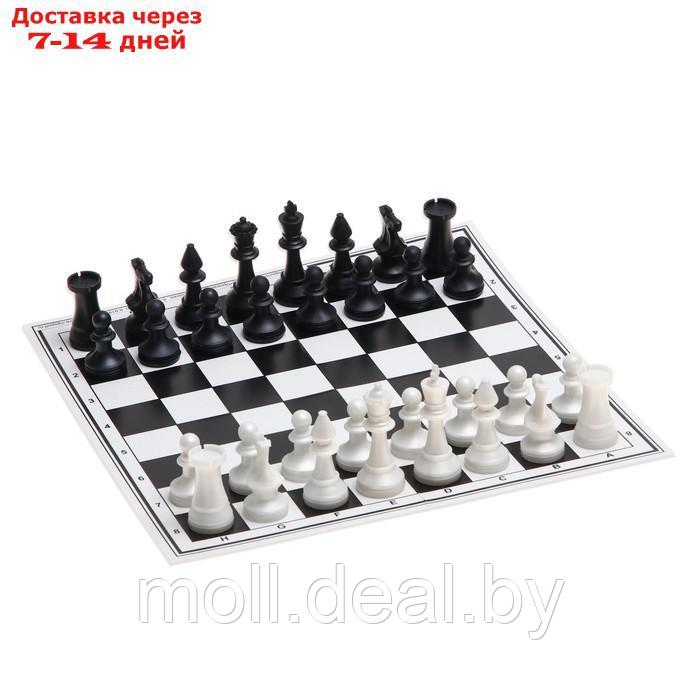 Настольная игра 6 в 1 "В дорогу": шахматы, лото, домино, шашки, карты 54 шт, кости - фото 2 - id-p227101615