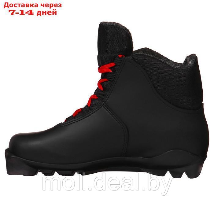 Ботинки лыжные Winter Star classic, SNS, р. 39, цвет чёрный, лого красный - фото 9 - id-p227099214