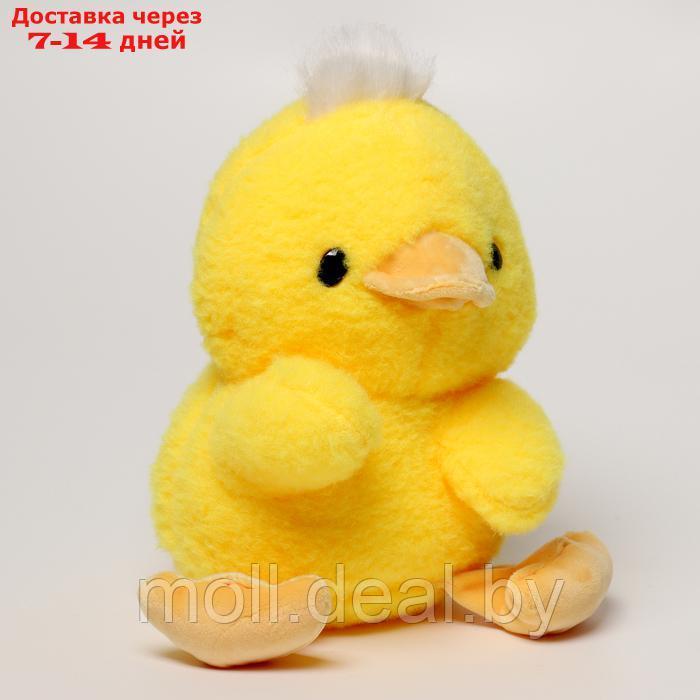 Мягкая игрушка с ночником "Цыпленок" - фото 5 - id-p227090232