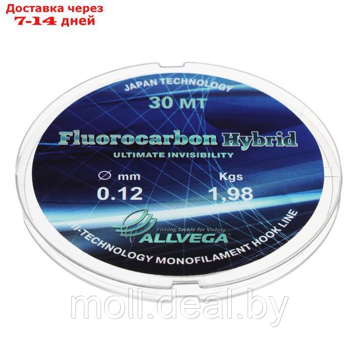 Леска монофильная ALLVEGA "Fluorocarbon Hybrid" 30м 0,12мм, 1,98кг, флюорокарбон 65% - фото 1 - id-p227114142