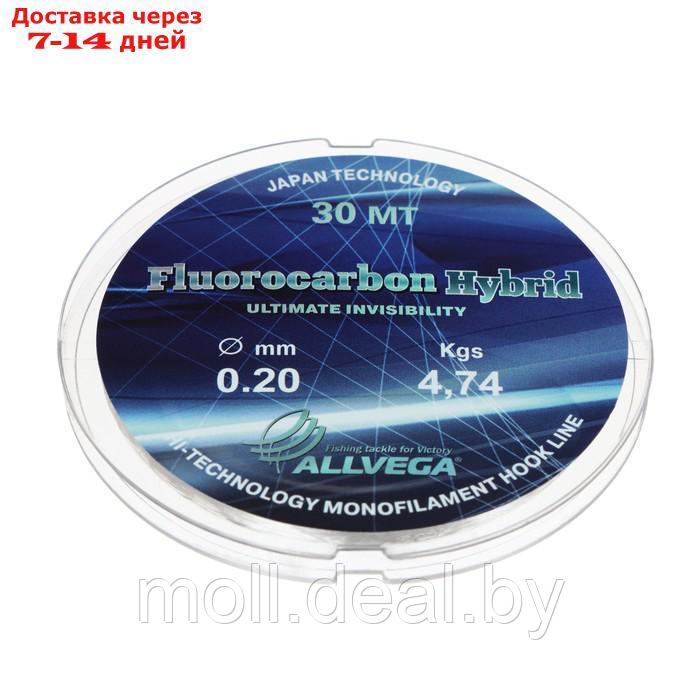 Леска монофильная ALLVEGA "Fluorocarbon Hybrid" 30м 0,20мм, 4,74кг, флюорокарбон 65% - фото 1 - id-p227114143