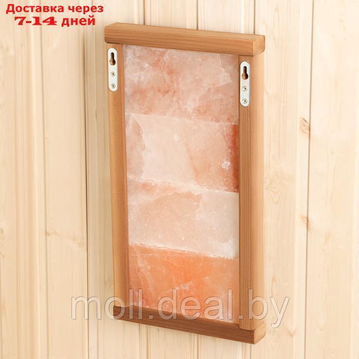Соляная панель 4 плитки гималайской соли 46х24 см термо ЛИПА - фото 4 - id-p227107809