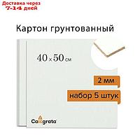 Картон грунтованный 40 х 50 см, толщина 2 мм, акриловый грунт, Calligrata, в наборе 5 шт.