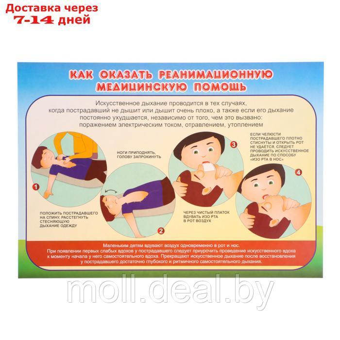 Набор плакатов "Первая медицинская помощь" 4 плаката, А3 - фото 2 - id-p227079413