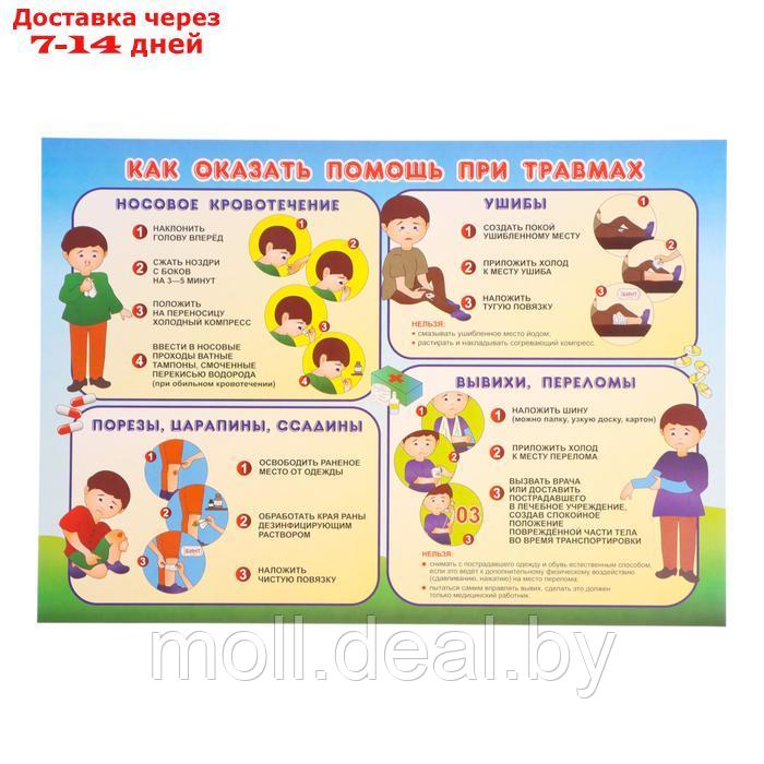 Набор плакатов "Первая медицинская помощь" 4 плаката, А3 - фото 5 - id-p227079413