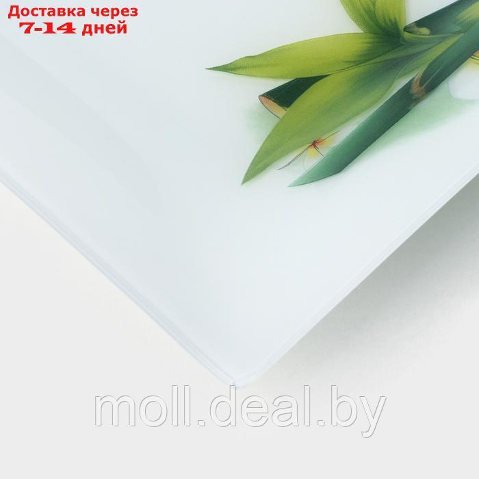 Тарелка стеклянная Доляна "Бамбук", 29,5×29,5 см - фото 3 - id-p227076421