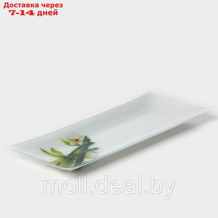 Блюдо стеклянное Доляна "Бамбук", 36,5×15 см, цвет белый - фото 1 - id-p227076422