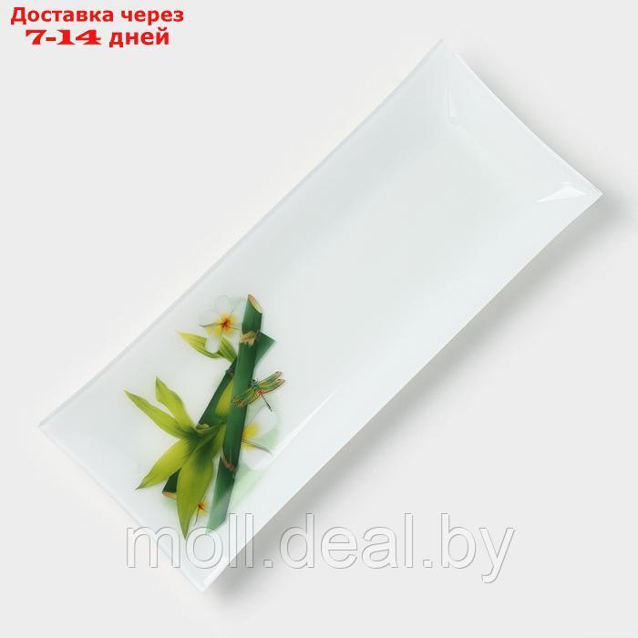 Блюдо стеклянное Доляна "Бамбук", 36,5×15 см, цвет белый - фото 2 - id-p227076422