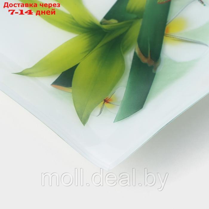 Блюдо стеклянное Доляна "Бамбук", 36,5×15 см, цвет белый - фото 3 - id-p227076422