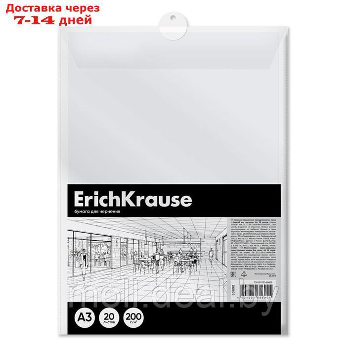 Бумага для черчения А3, 20 листов, блок 200 г/м², ErichKrause "Art", без рамки, в пластиковой папке - фото 1 - id-p227079429