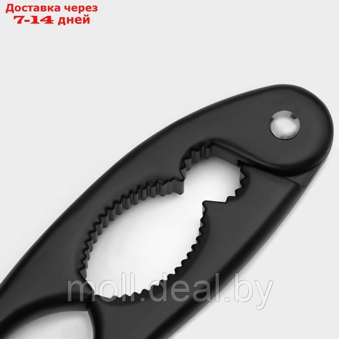Орехокол Magistro Vantablack, 17,3×2 см, цвет чёрный - фото 6 - id-p227076433