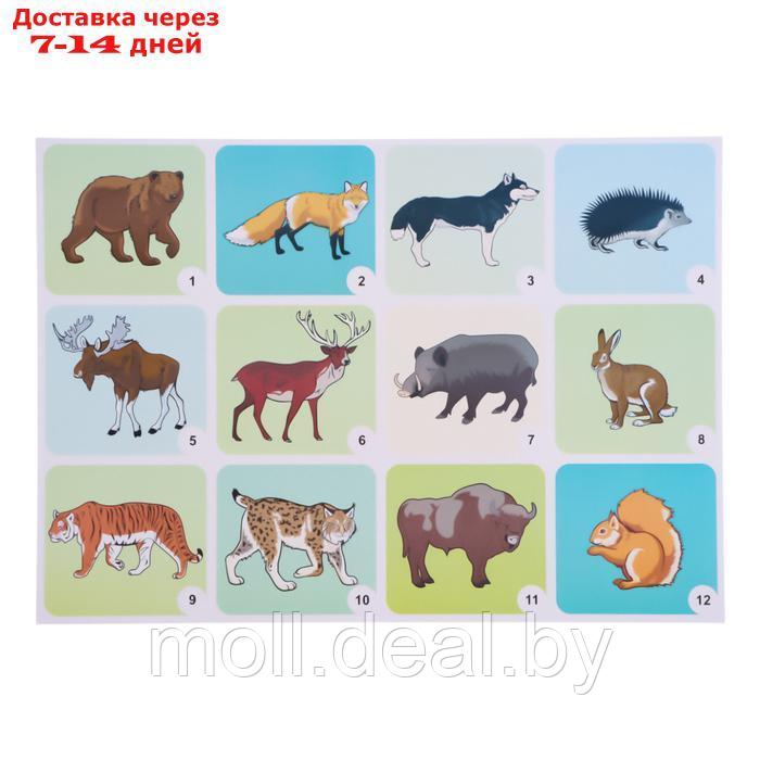 Набор плакатов "Дикие и домашние животные и птицы" с методическими рекомендациями, 4 плакат 1047263 - фото 3 - id-p227079439