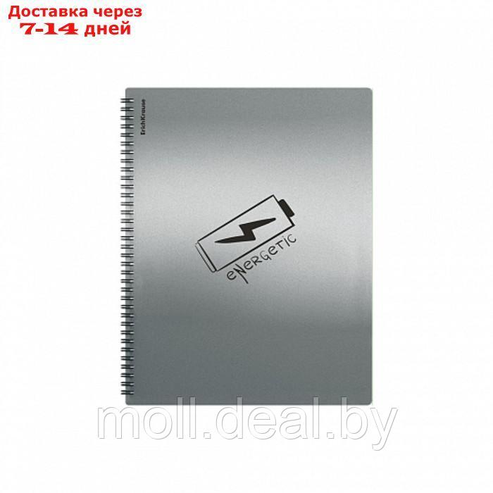 Папка 30 вкладышей на спирали А4 ErichKrause Ice Metallic Ideas, серый, микс - фото 3 - id-p227079444