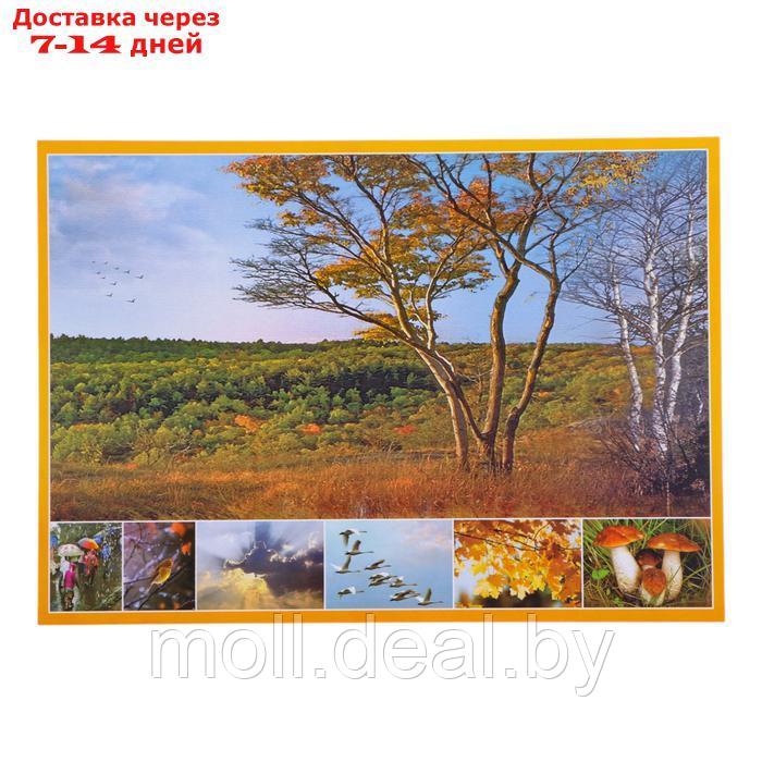 Набор плакатов "Времена года" с методическими рекомендациями, 4 плаката, А3 - фото 5 - id-p227079446