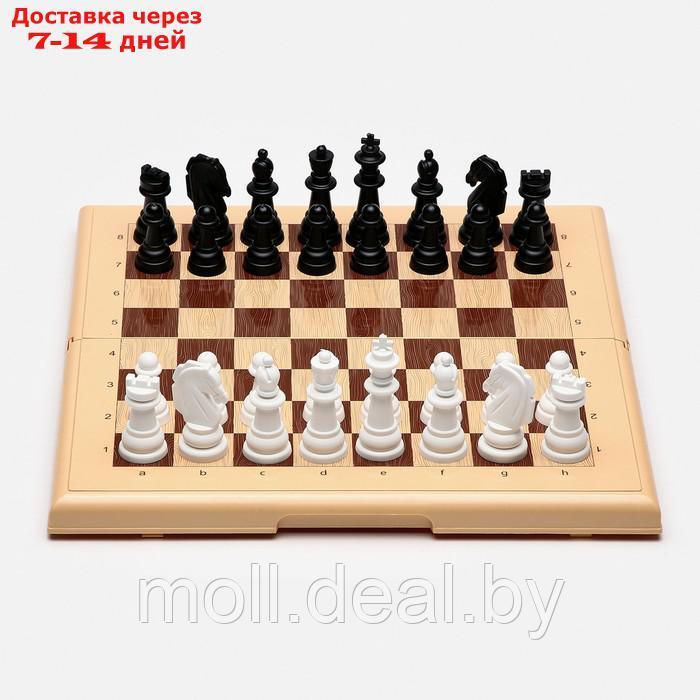 Настольная игра 3 в 1: шашки, шахматы, нарды, поле 32 х 32 см - фото 2 - id-p227110100