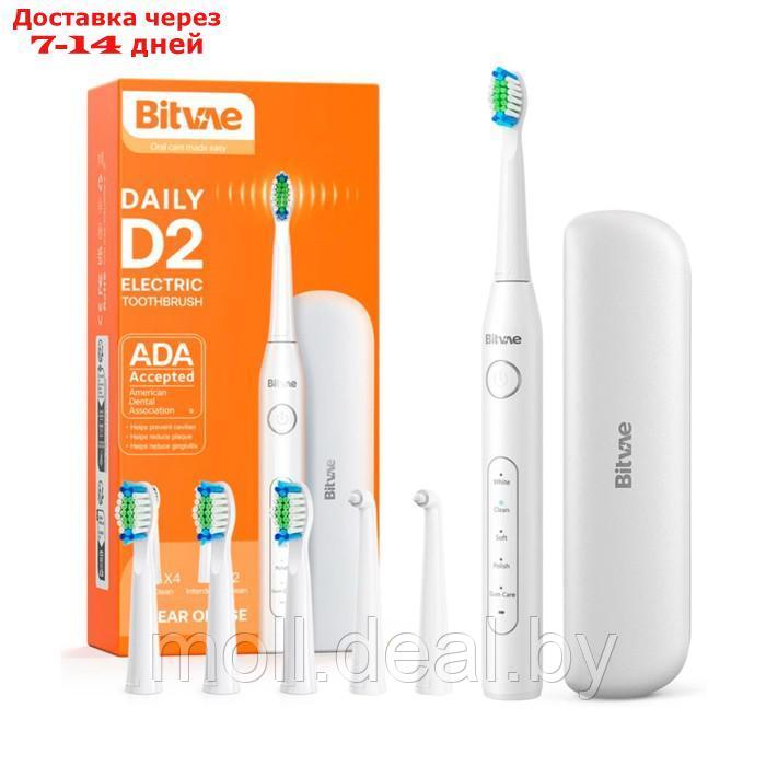 Электрическая зубная щетка Bitvae D2 Daily Toothbrush, звуковая, 40000 дв/мин, 4 насадки - фото 1 - id-p227086369