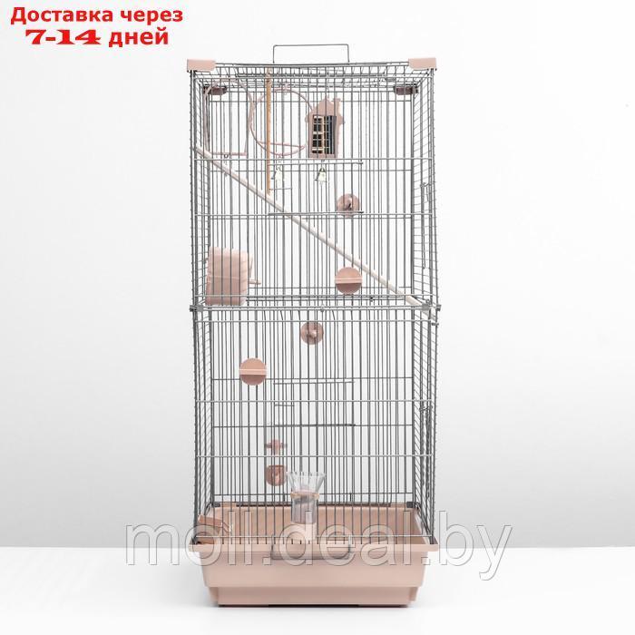 Клетка для птиц "Пижон" №104-Б, разборная, 2 секции, 58 х 40 х 88см, бежевая - фото 3 - id-p227110111