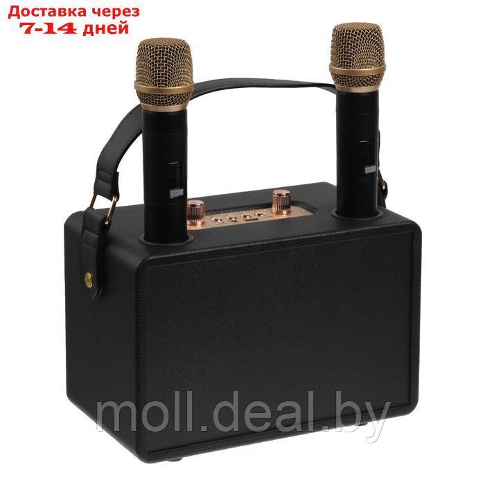 Портативная караоке система M4202+, 25 Вт, 3600 мАч. 2 микрофона, чёрная - фото 4 - id-p227086387