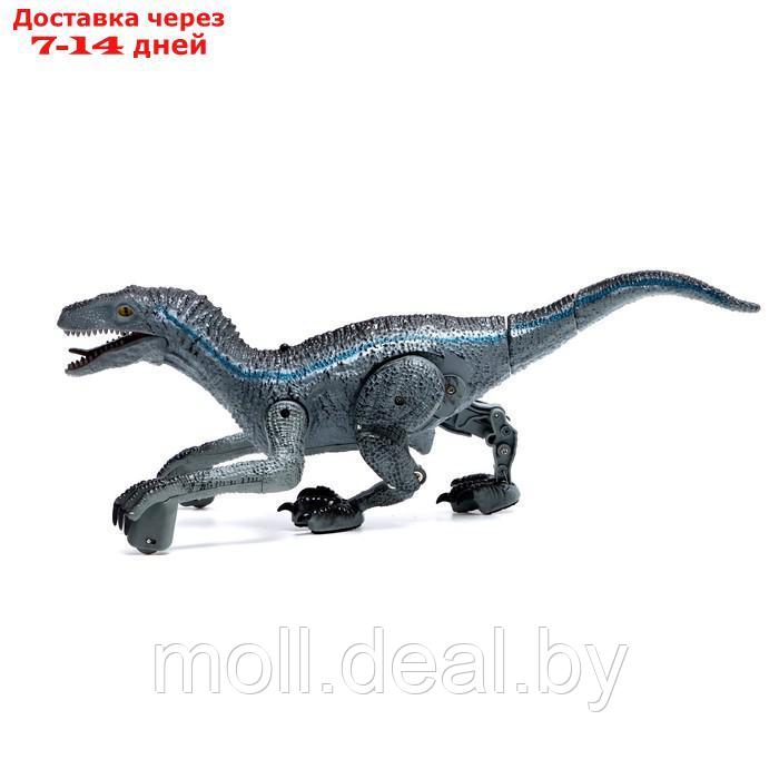 Динозавр радиоуправляемый "Велоцираптор", цвет серый - фото 2 - id-p227120783