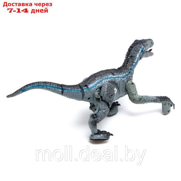 Динозавр радиоуправляемый "Велоцираптор", цвет серый - фото 3 - id-p227120783