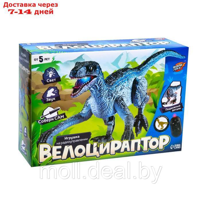 Динозавр радиоуправляемый "Велоцираптор", цвет серый - фото 6 - id-p227120783