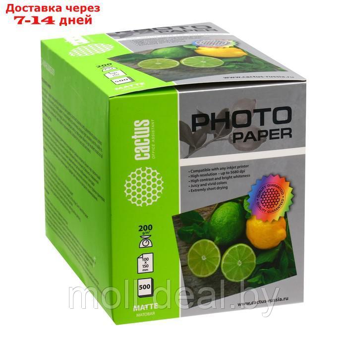 Фотобумага для струйной печати А6, 500 листов Cactus, 200 г/м2, односторонняя, матовая - фото 1 - id-p227103937