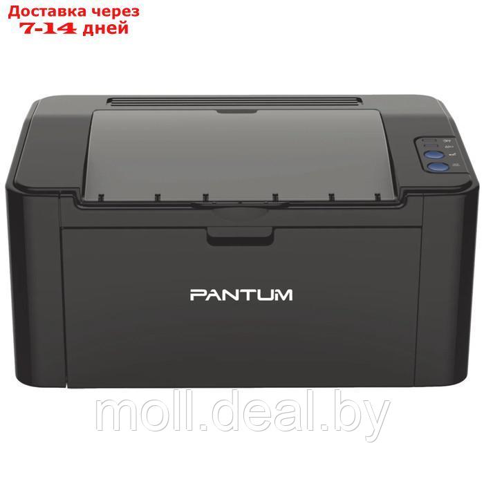 Принтер лазерный ч/б Pantum P2207, 1200x1200 dpi, 20 стр/мин, А4, черный - фото 1 - id-p227086406