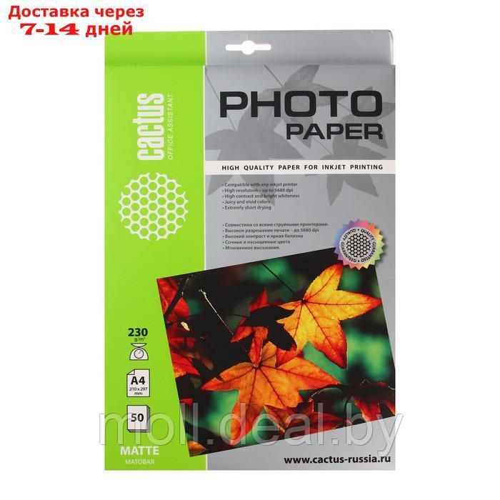 Фотобумага для струйной печати А4, 50 листов Cactus, 230 г/м2, односторонняя, матовая