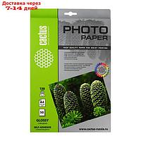 Фотобумага самоклеящаяся для струйной печати А4, 50 листов Cactus, 130 г/м2, односторонняя, глянцевая