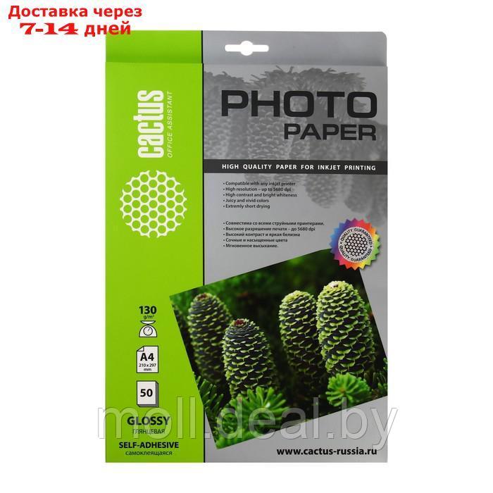 Фотобумага самоклеящаяся для струйной печати А4, 50 листов Cactus, 130 г/м2, односторонняя, глянцевая - фото 1 - id-p227103940