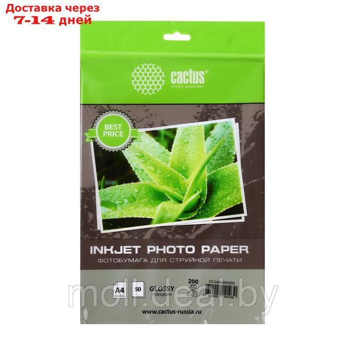 Фотобумага для струйной печати А4, 50 листов Cactus, 200 г/м2, односторонняя, глянцевая, в пакете
