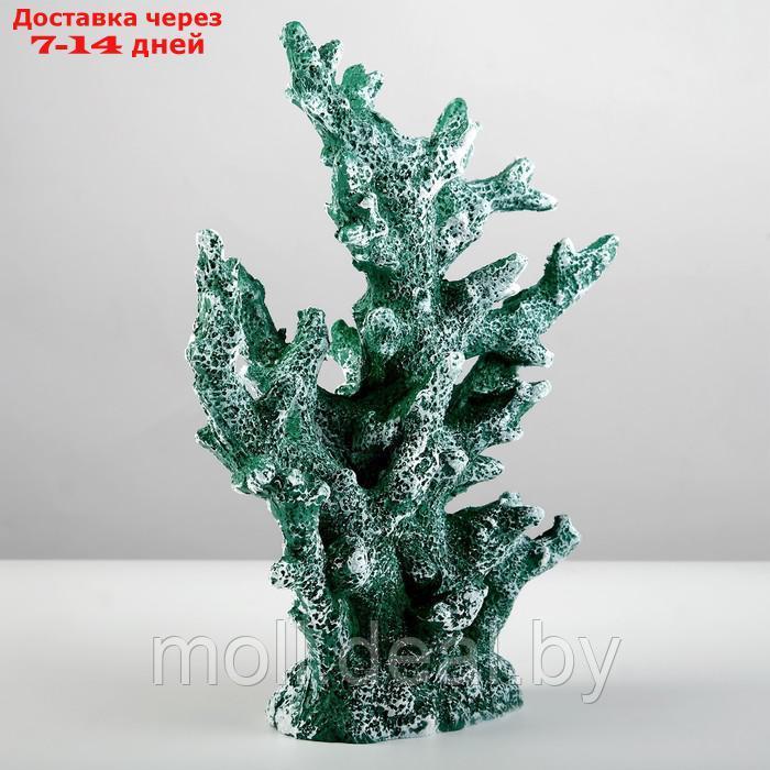 Интерьерный сувенир "Коралл" 24*19см зеленый - фото 2 - id-p227107986