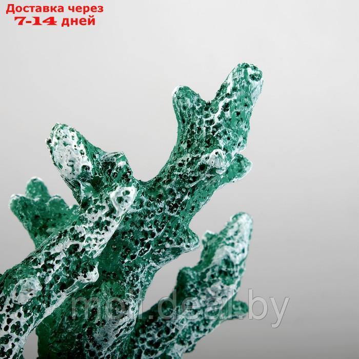 Интерьерный сувенир "Коралл" 24*19см зеленый - фото 3 - id-p227107986