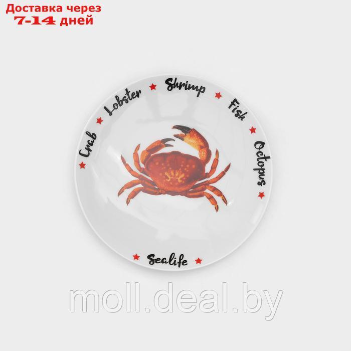 Набор фарфоровых тарелок для пиццы "Sealife", 7 предметов - фото 6 - id-p227089411
