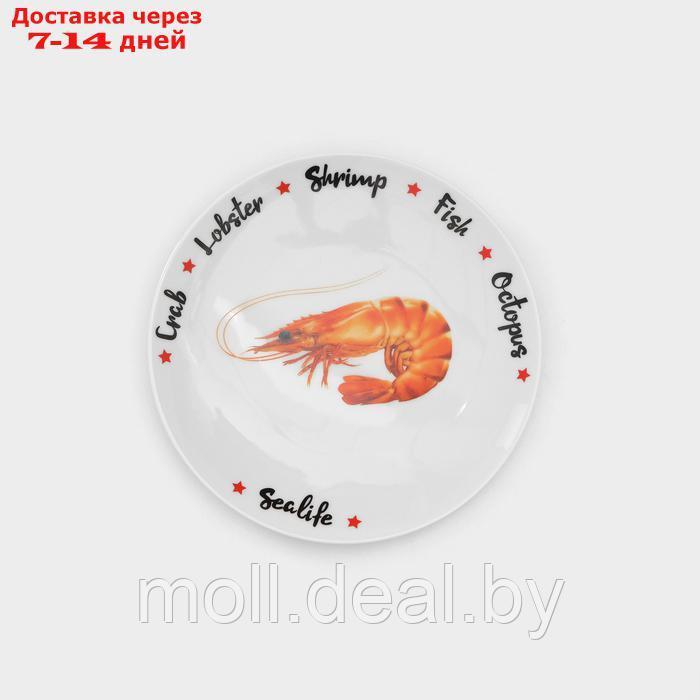 Набор фарфоровых тарелок для пиццы "Sealife", 7 предметов - фото 8 - id-p227089411
