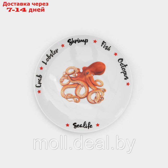 Набор фарфоровых тарелок для пиццы "Sealife", 7 предметов - фото 9 - id-p227089411