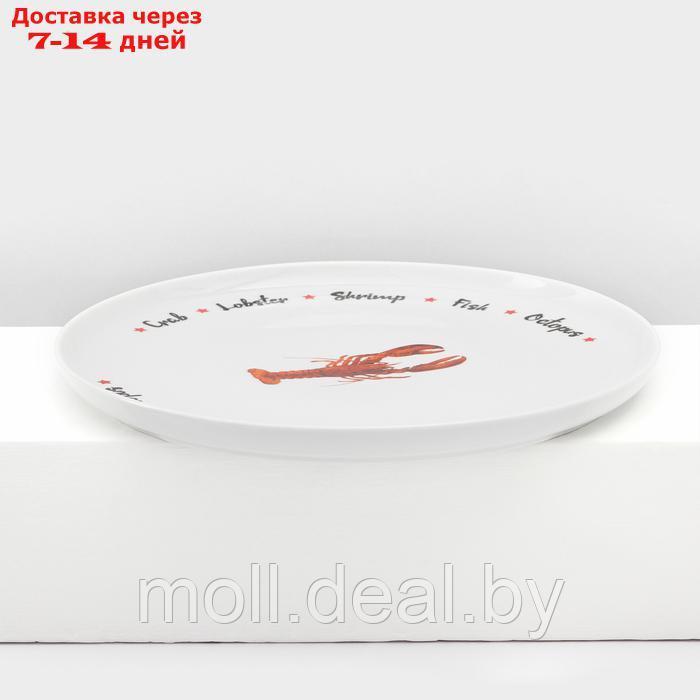 Набор фарфоровых тарелок для пиццы "Sealife", 7 предметов - фото 10 - id-p227089411