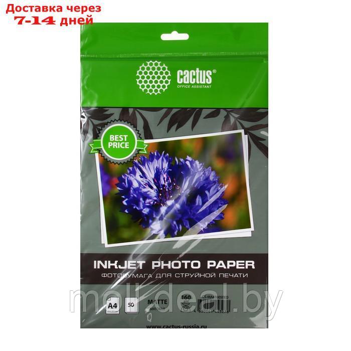 Фотобумага для струйной печати А4, 50 листов Cactus, 160 г/м2, односторонняя, матовая, в пакете - фото 1 - id-p227103947