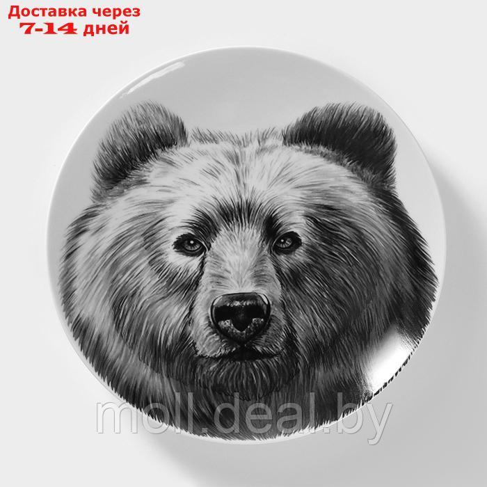 Тарелка фарфоровая "Медведь", d=24 см - фото 1 - id-p227089418