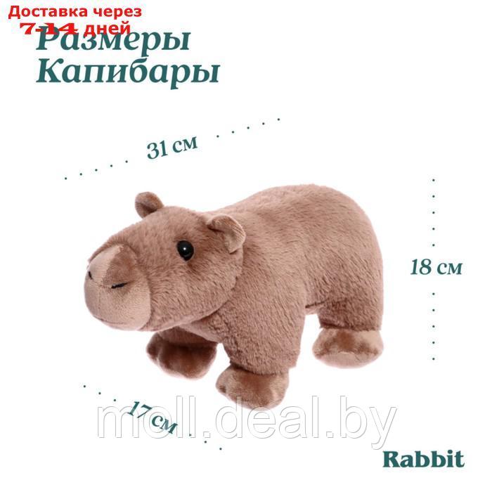Мягкая игрушка "Капибара", 31 см - фото 5 - id-p227103959
