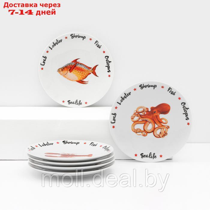 Набор фарфоровых тарелок "Sealife", 6 предметов - фото 1 - id-p227089424