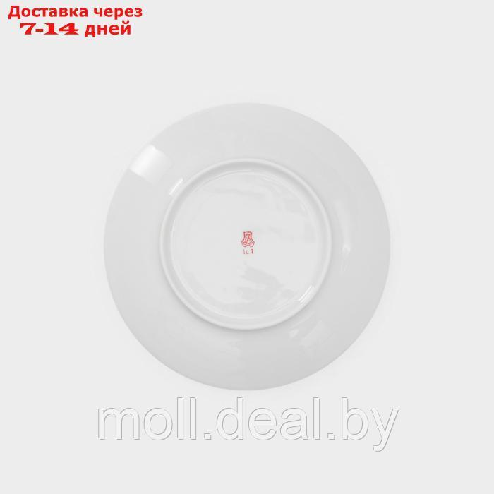 Набор фарфоровых тарелок "Sealife", 6 предметов - фото 2 - id-p227089424