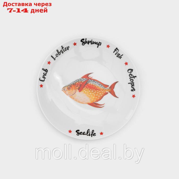 Набор фарфоровых тарелок "Sealife", 6 предметов - фото 3 - id-p227089424