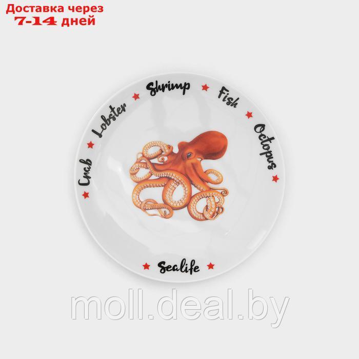 Набор фарфоровых тарелок "Sealife", 6 предметов - фото 4 - id-p227089424