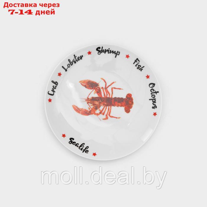 Набор фарфоровых тарелок "Sealife", 6 предметов - фото 5 - id-p227089424