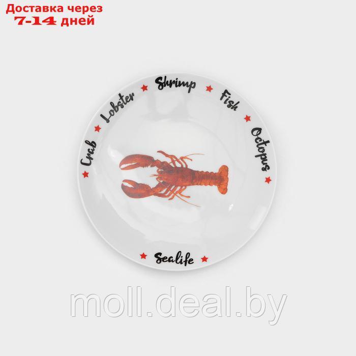 Набор фарфоровых тарелок "Sealife", 6 предметов - фото 7 - id-p227089424