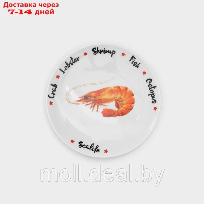 Набор фарфоровых тарелок "Sealife", 6 предметов - фото 8 - id-p227089424