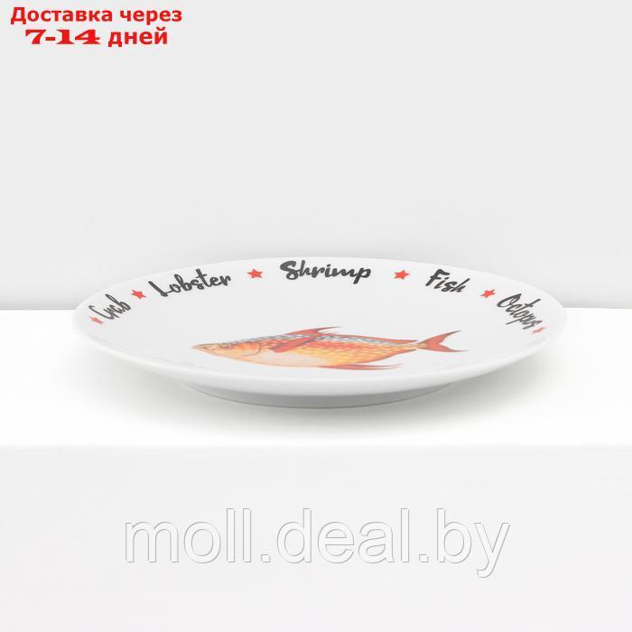 Набор фарфоровых тарелок "Sealife", 6 предметов - фото 9 - id-p227089424