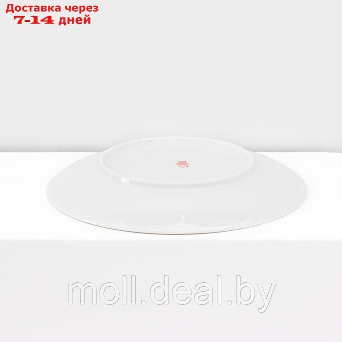 Набор фарфоровых тарелок "Sealife", 6 предметов - фото 10 - id-p227089424